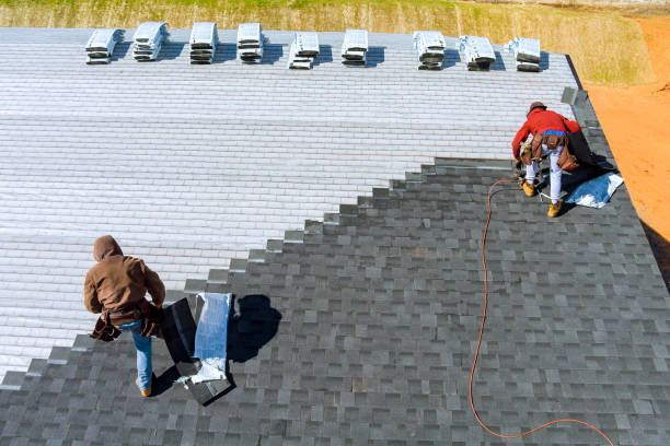 Roof Gutter Cleaning in Alliance, NC