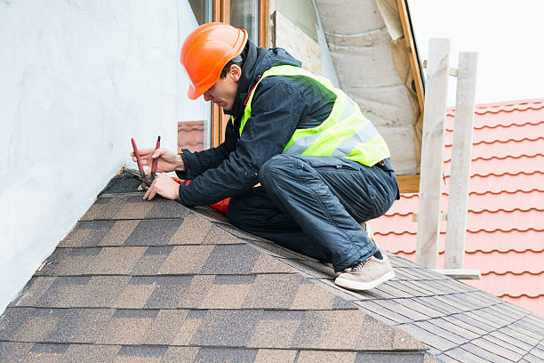 Best Roof Gutter Cleaning  in Alliae, NC